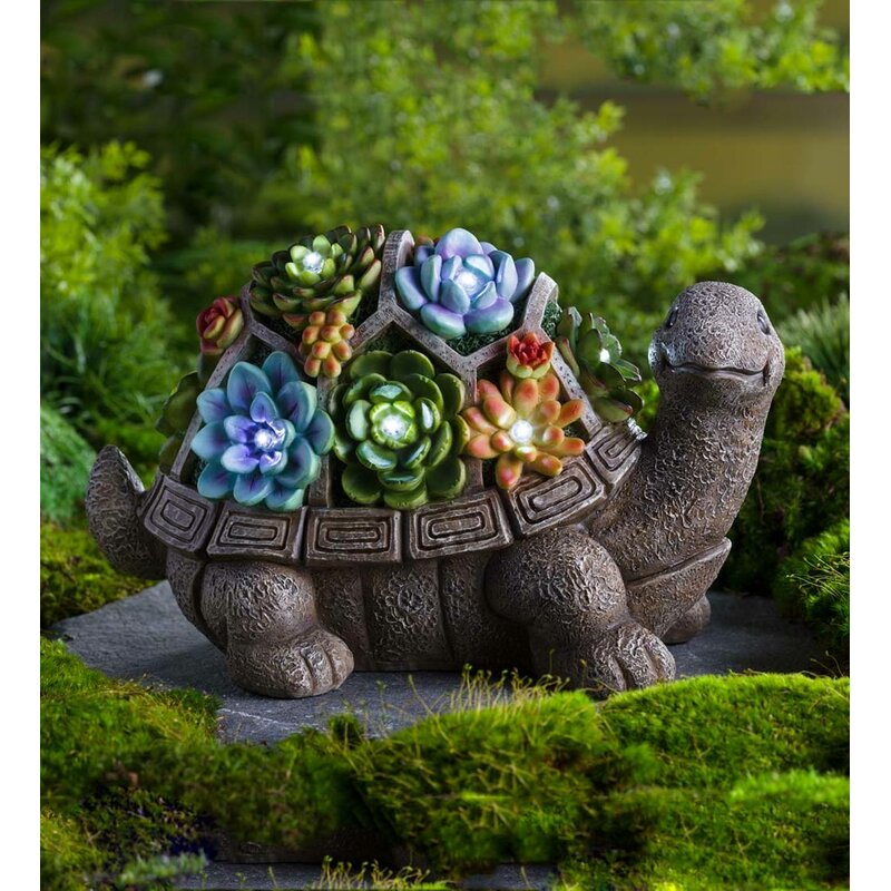 garden turtle solar statue succulent wayfair statues resin